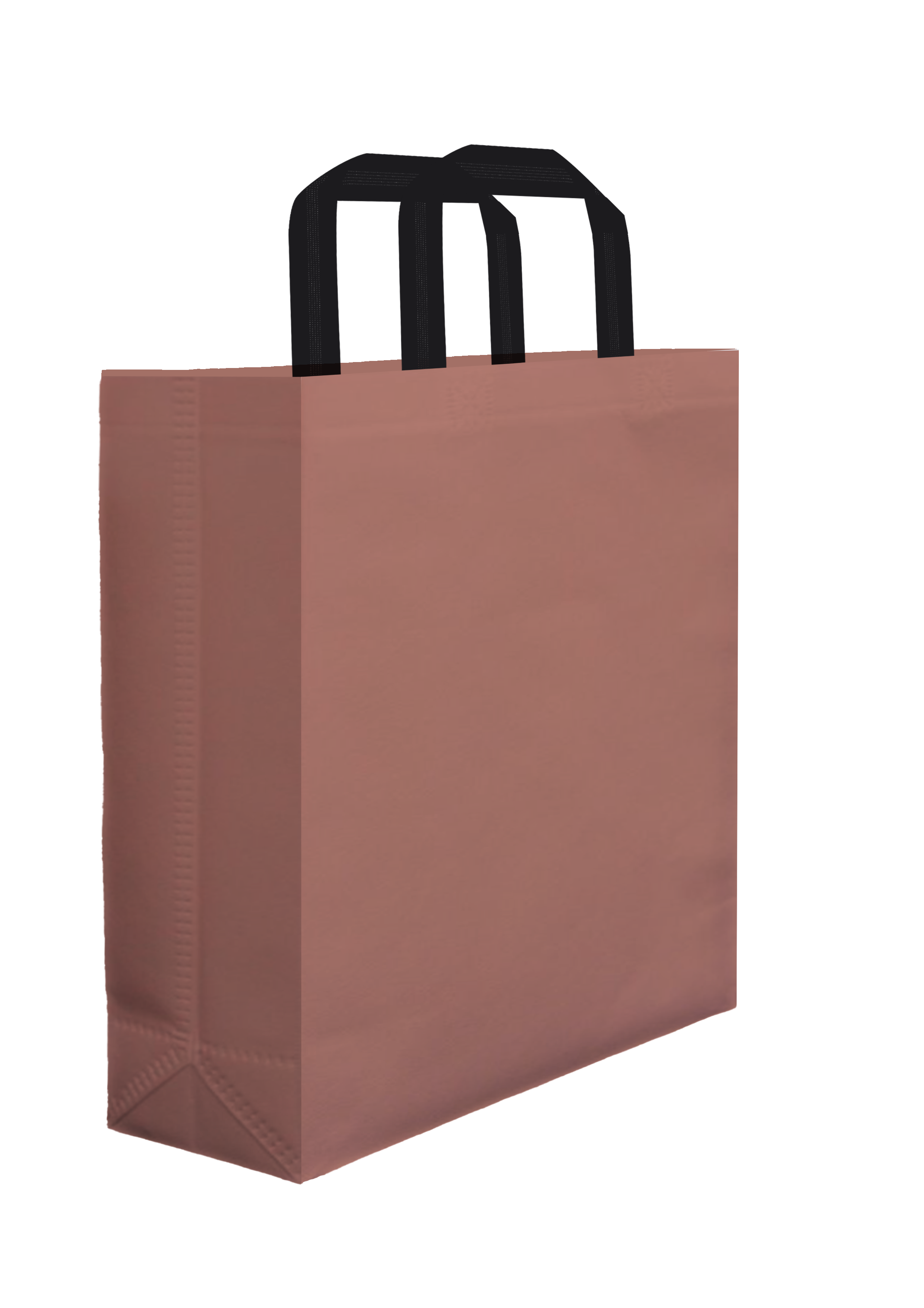 Plain Bag